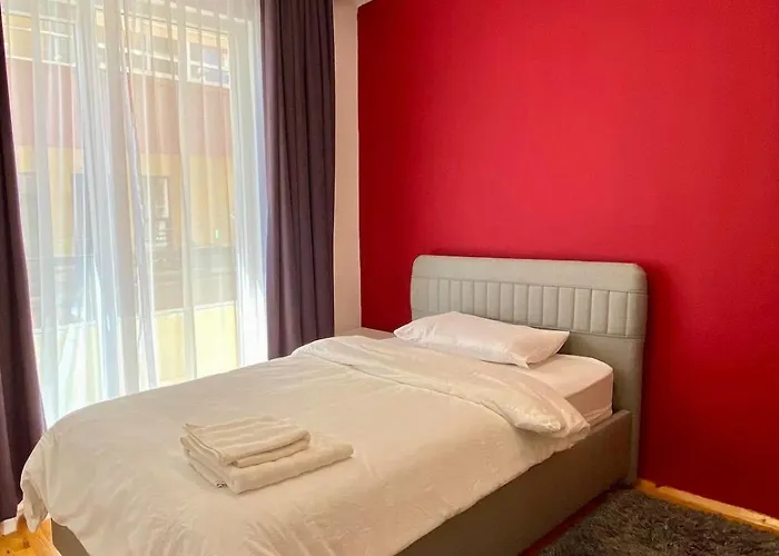 Digital Nomad Friendly Super Fast Internet * 阿拉尼亚